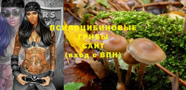 стафф Алексин
