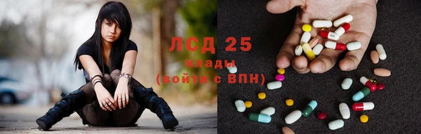эйфоретик Алзамай