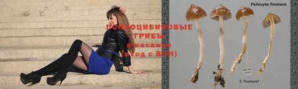эйфоретик Алзамай