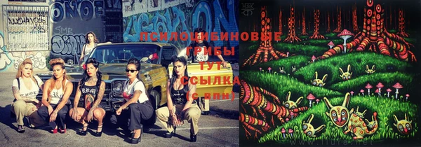 эйфоретик Алзамай