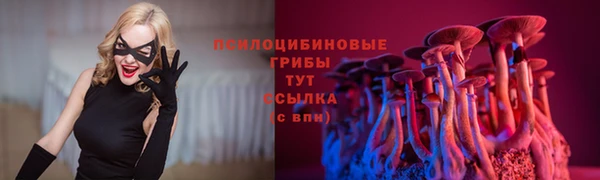 стафф Алексин