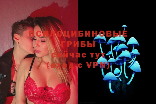 стафф Алексин
