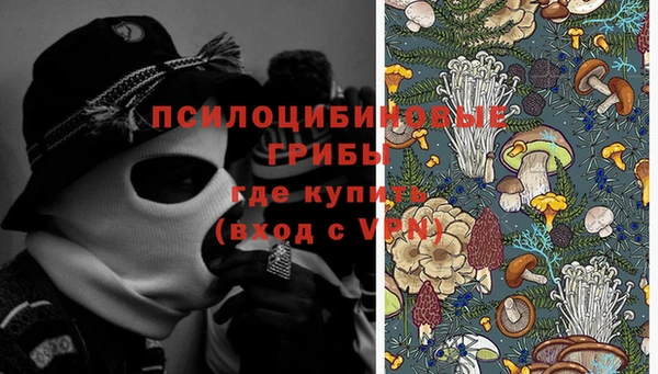 стафф Алексин